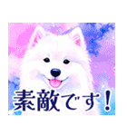 大人可愛い敬語サモエドスタンプ（個別スタンプ：19）