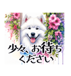 大人可愛い敬語サモエドスタンプ（個別スタンプ：25）