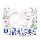 大人可愛い敬語サモエドスタンプ（個別スタンプ：28）