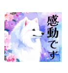 大人可愛い敬語サモエドスタンプ（個別スタンプ：30）