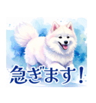 大人可愛い敬語サモエドスタンプ（個別スタンプ：33）