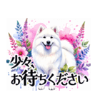 大人可愛い敬語サモエドスタンプ（個別スタンプ：35）