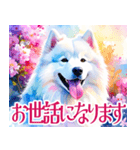 大人可愛い敬語サモエドスタンプ（個別スタンプ：38）