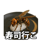 ゲテモノ寿司【昆虫・生き物】（個別スタンプ：1）