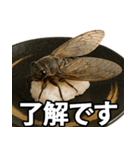 ゲテモノ寿司【昆虫・生き物】（個別スタンプ：2）