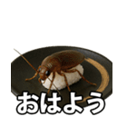 ゲテモノ寿司【昆虫・生き物】（個別スタンプ：3）