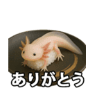 ゲテモノ寿司【昆虫・生き物】（個別スタンプ：5）