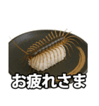 ゲテモノ寿司【昆虫・生き物】（個別スタンプ：6）
