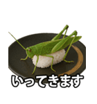 ゲテモノ寿司【昆虫・生き物】（個別スタンプ：7）