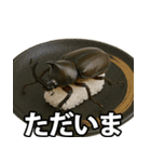 ゲテモノ寿司【昆虫・生き物】（個別スタンプ：9）