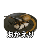 ゲテモノ寿司【昆虫・生き物】（個別スタンプ：10）