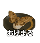 ゲテモノ寿司【昆虫・生き物】（個別スタンプ：12）