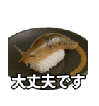 ゲテモノ寿司【昆虫・生き物】（個別スタンプ：14）