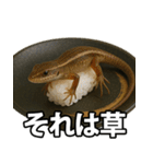 ゲテモノ寿司【昆虫・生き物】（個別スタンプ：15）