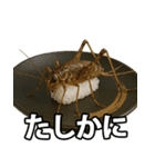 ゲテモノ寿司【昆虫・生き物】（個別スタンプ：16）