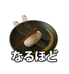 ゲテモノ寿司【昆虫・生き物】（個別スタンプ：19）
