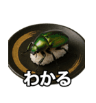 ゲテモノ寿司【昆虫・生き物】（個別スタンプ：20）