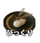 ゲテモノ寿司【昆虫・生き物】（個別スタンプ：21）