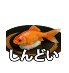 ゲテモノ寿司【昆虫・生き物】（個別スタンプ：23）
