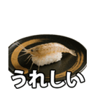 ゲテモノ寿司【昆虫・生き物】（個別スタンプ：27）