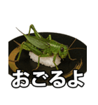 ゲテモノ寿司【昆虫・生き物】（個別スタンプ：29）