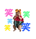 れみまるちゃん（個別スタンプ：11）