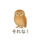 水彩画になった夢見る動物2025夏（個別スタンプ：7）