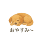 水彩画になった夢見る動物2025夏（個別スタンプ：10）