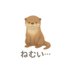 水彩画になった夢見る動物2025夏（個別スタンプ：13）