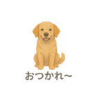 水彩画になった夢見る動物2025夏（個別スタンプ：17）