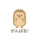 水彩画になった夢見る動物2025夏（個別スタンプ：24）