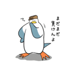 カモメでGolf 5（個別スタンプ：14）