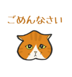 イカ耳だけど弱気な茶白にゃんず（個別スタンプ：4）