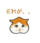 イカ耳だけど弱気な茶白にゃんず（個別スタンプ：7）