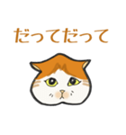 イカ耳だけど弱気な茶白にゃんず（個別スタンプ：11）