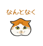 イカ耳だけど弱気な茶白にゃんず（個別スタンプ：15）