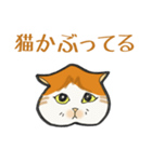 イカ耳だけど弱気な茶白にゃんず（個別スタンプ：19）