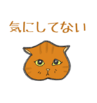 イカ耳だけど弱気な茶白にゃんず（個別スタンプ：22）