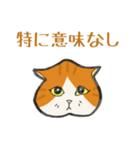 イカ耳だけど弱気な茶白にゃんず（個別スタンプ：29）