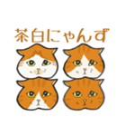 イカ耳だけど弱気な茶白にゃんず（個別スタンプ：34）