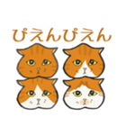 イカ耳だけど弱気な茶白にゃんず（個別スタンプ：36）