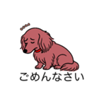名前入りダックスロングレッド（個別スタンプ：2）