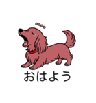 名前入りダックスロングレッド（個別スタンプ：3）