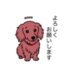 名前入りダックスロングレッド（個別スタンプ：4）