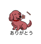 名前入りダックスロングレッド（個別スタンプ：5）