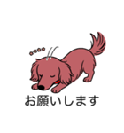 名前入りダックスロングレッド（個別スタンプ：7）