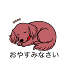 名前入りダックスロングレッド（個別スタンプ：9）
