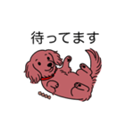 名前入りダックスロングレッド（個別スタンプ：10）