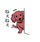 名前入りダックスロングレッド（個別スタンプ：12）