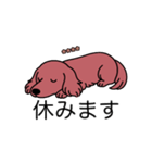 名前入りダックスロングレッド（個別スタンプ：16）